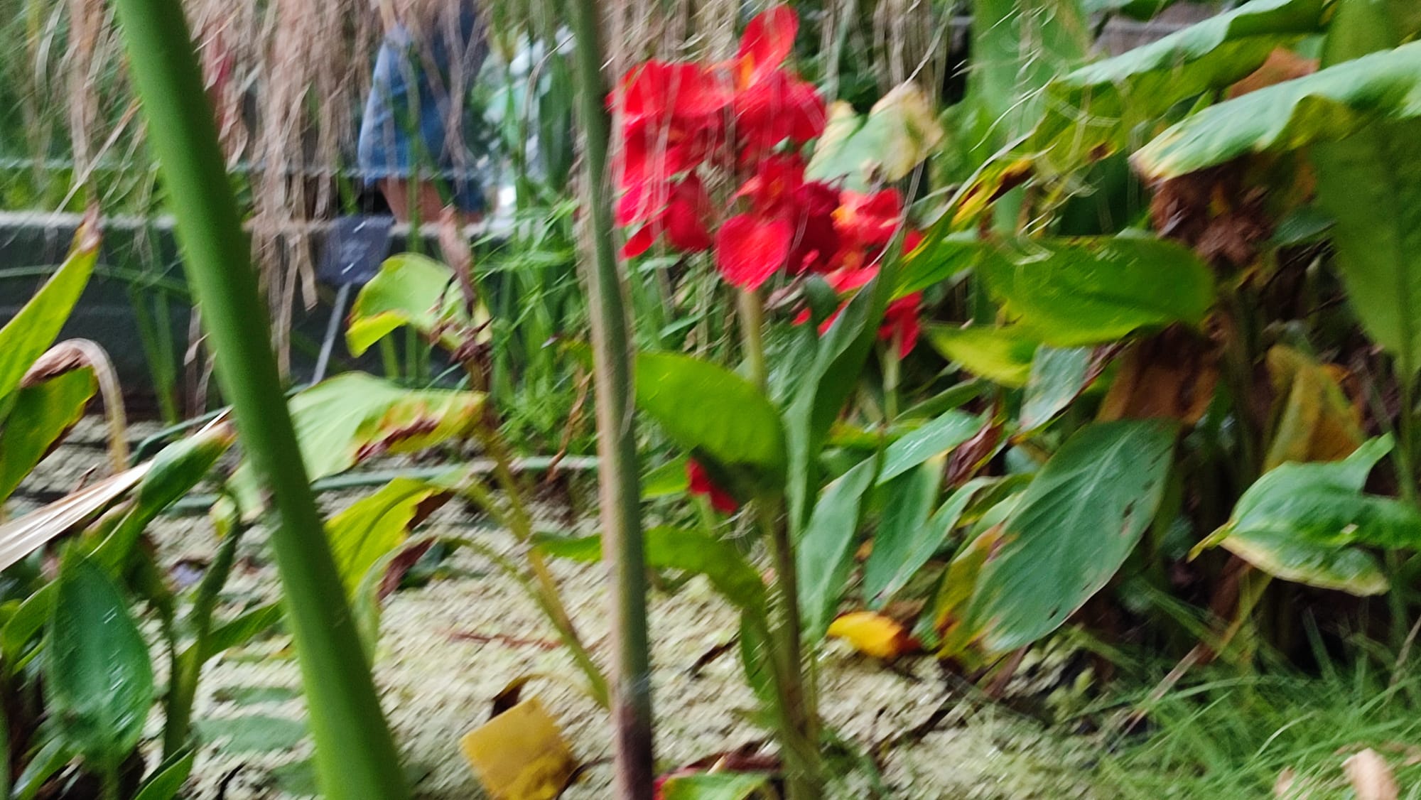 IMG-20230430-WA0084
